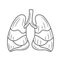 Lungs Line art black and white vector illustration