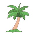 Coconut tree outline vector illustration,colored linear style pictogram