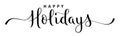 HAPPY HOLIDAYS black brush calligraphy banner Royalty Free Stock Photo