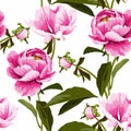 Seamless floral pattern, pink peony flowers on a white background. Design for wallpaper, fabric, wrapping. Royalty Free Stock Photo
