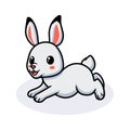 Cute little rabbit cartoon running Royalty Free Stock Photo