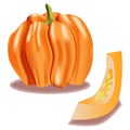 3D Ripe Orange Pump kin Vector Illustration