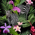 Tropical floral leaves, palm banana tree and exotic flowers, zebra wildlife animal floral seamless pattern on black background. Royalty Free Stock Photo