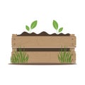 Growing plants in a wooden box with soil