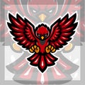 Cardinal bird mascot. esport logo design