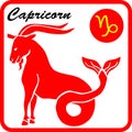 Capricorn Zodiac Sign Vector Illustration Royalty Free Stock Photo