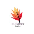 Autumn logo design illustration vector template Royalty Free Stock Photo