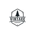 Vintage retro emblem pine tree logo design inspiration vector template Royalty Free Stock Photo