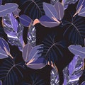 Floral seamless pattern, exotic tropical violet leaves, protea flowers on black background. Royalty Free Stock Photo