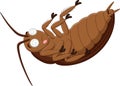 Cartoon dead cockroach on white background