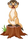 Cartoon meerkat standing on tree stump Royalty Free Stock Photo