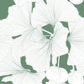 Gingko biloba seamless background pattern. Green line leaves on white background. Royalty Free Stock Photo