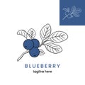 Blueberry logo template. Hand drawn blueberry branch.