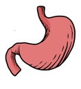 Colored human organ illustrations