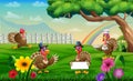 Happy turkeys on the meadow with colorful rainbow Royalty Free Stock Photo