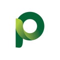 Green nature letter p logo design Royalty Free Stock Photo