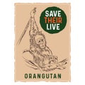 Save Orang Utan poster design Royalty Free Stock Photo