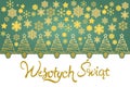 Translation: Merry Christmas. WesoÃâych ÃÅ¡wiÃâ¦t vector text Calligraphic