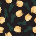 Orange Tulips flowers. Hand drawn style. Seamless texture. Floral pattern. Black background. Royalty Free Stock Photo