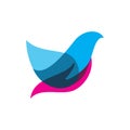 Modern harmony color bird wing logo design