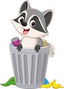 Cute raccoon cartoon in trash can Royalty Free Stock Photo