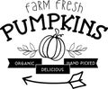 Farm Fresh Pumpkins Quotes, Farmhouse Thanksgiving  Lettering Quotes Royalty Free Stock Photo