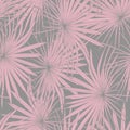 Fashionable seamless tropical pattern with pink tropical fan palm leaves on a grey background.
