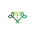 Green group leaf logo design