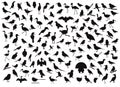 Various Bird Silhouettes Character Cartoon Vector Illustration