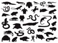 Various Reptile and Amphibian Silhouettes Vector Illustration