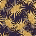 Nature seamless pattern. Hand drawn  tropical summer background, golden fan palm leaves in silhouette, line art. Royalty Free Stock Photo