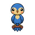 Cute little blue bird cartoon on tree branch Royalty Free Stock Photo