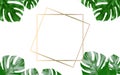 Lots of bright green tropical leaves as a background with a gold stripe in the middle.