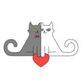 Two cats black and white with red heart. Love Valentine illustration. Royalty Free Stock Photo