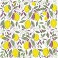 Printseamless pattern with lemons Royalty Free Stock Photo