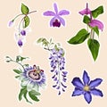 Set of tropical exotic violet flowers elements. Set of stickers, pins, patches and handwritten notes collection stikers kit.