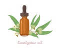 Eucalyptus essential oil. Amber glass dropper bottle and Eucalyptus leaf and flowers