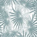 Fashionable seamless tropical pattern with blue tropical fan palm leaves on a white background. Royalty Free Stock Photo