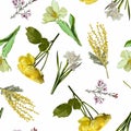 Flowers of Spring mimosa, roses, tulips and daffodils on a white background. Seamless pattern. Royalty Free Stock Photo