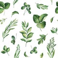 Watercolor Greenery seamless texture with fern,herb,leaves,branches.