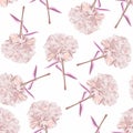 Floral seamless pattern with carnation, clove abstract pank flowers, leaves on white background.