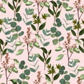 Seamless pattern with different branches of Eucalyptus Silver Dollar on a pink background.