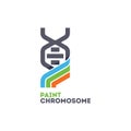 Paint Chromosome Logo Design