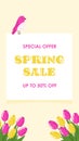 Spring Sale Bright Banner Royalty Free Stock Photo