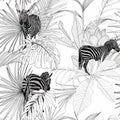 Tropical zebra animal, palm leaves, white background. Seamless pattern. Graphic illustration. Royalty Free Stock Photo