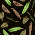 Floral seamless pattern, magnolia plant leaves on black. Brown, pastel vintage theme. Royalty Free Stock Photo