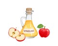 Apple cider vinegar in glass bottle and red apples fruits isolated Royalty Free Stock Photo