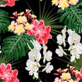 Tropical orchid, plumeria flowers and exotic leaves on black background. Seamless pattern. Royalty Free Stock Photo