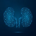 Human kidney with low poly glowing connected dots. Royalty Free Stock Photo
