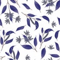 Seamless pattern with different branches of Eucalyptus in bloom on a white background.